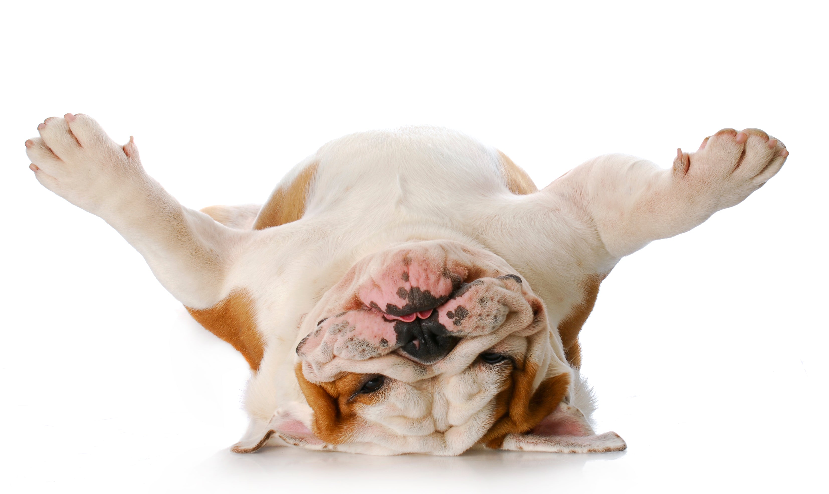 iStock-146892206.jpg